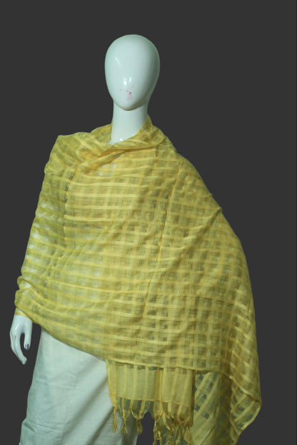 Gold patteren checkered dupatta