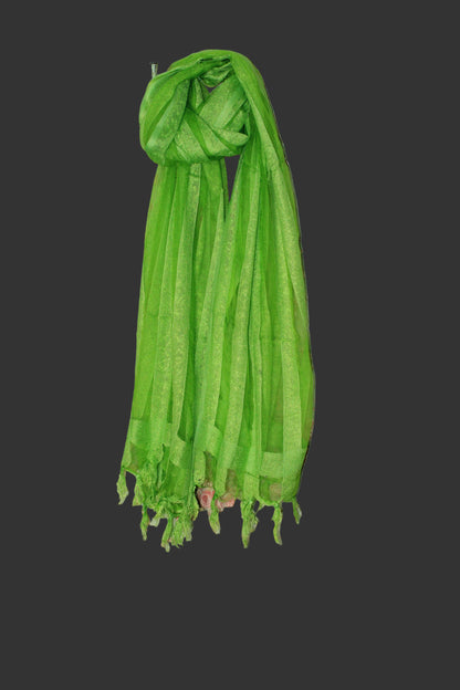 Net dupatta with thread pattern